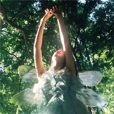 婚姻受害者联盟